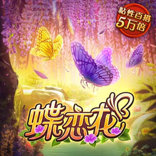 千锦娱乐app官网版