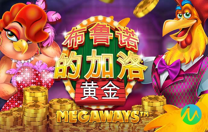 管家婆一码一肖100中奖71期